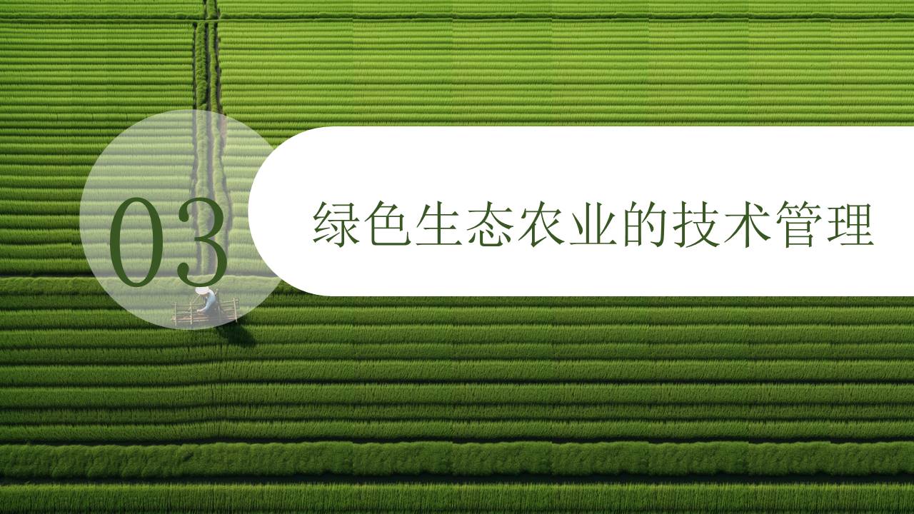 农业 (22).pptx